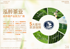 <b>饮行业存量博弈持续升温</b>